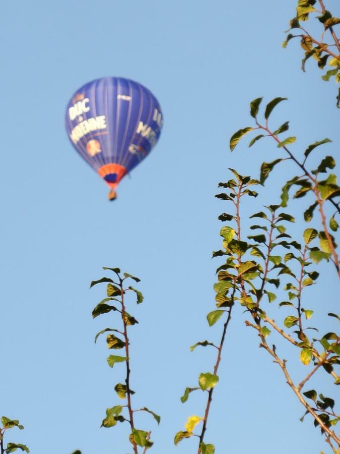 Le Petit Verger, 1 Impasse De La Fenouillere 61330 Céaucé المظهر الخارجي الصورة